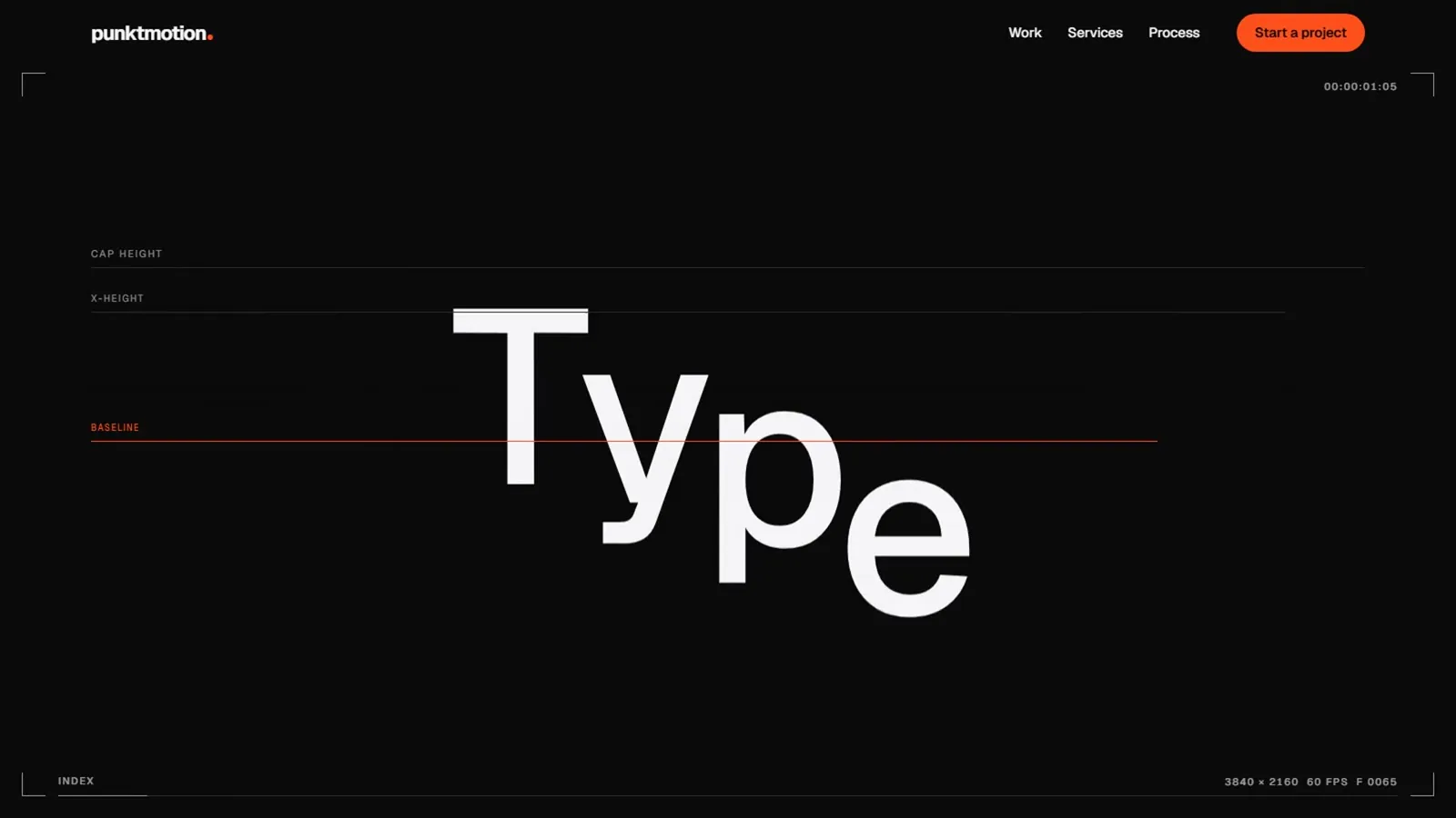 Type: the word rises above its anatomy guides.
